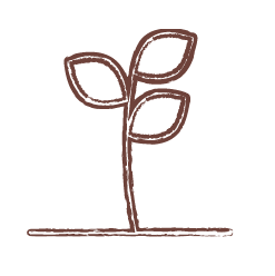 Nursery & Vegetable Farming