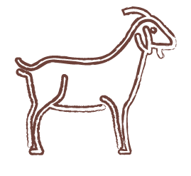 Goat Farming